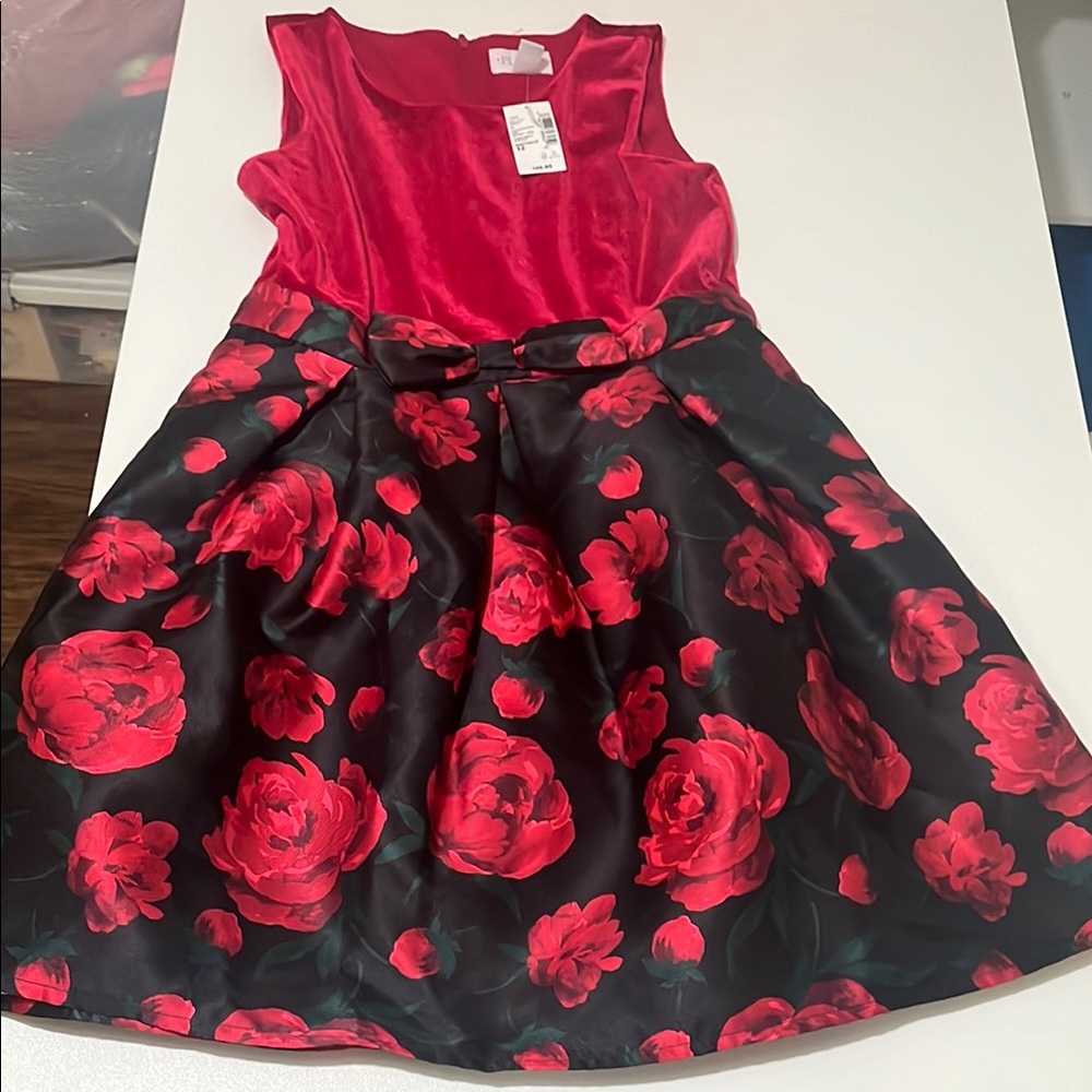The Children's Place Red and Black Pleated Fit and Flare Dress